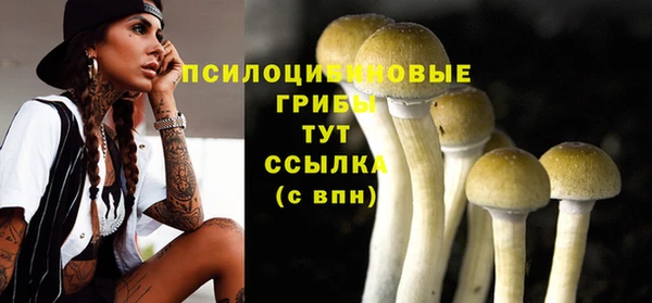 индика Балахна
