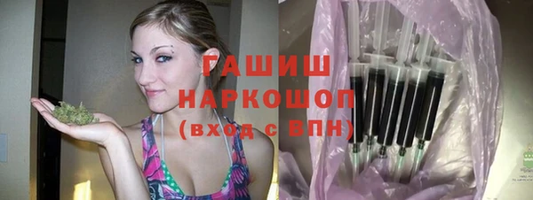 индика Балахна