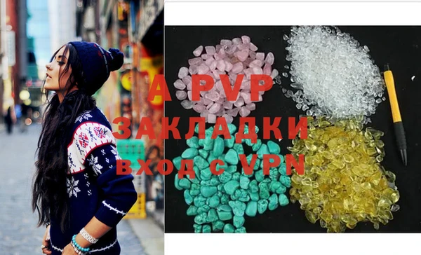 индика Балахна